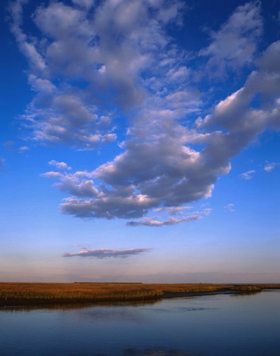 Brigantine National Wildlife Refuge 2, Atlantic County, NJ (MF).jpg Brigantine National Wildlife Refuge 2, Atlantic County, NJ (MF).jpg